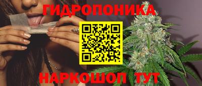 стафф Канаш