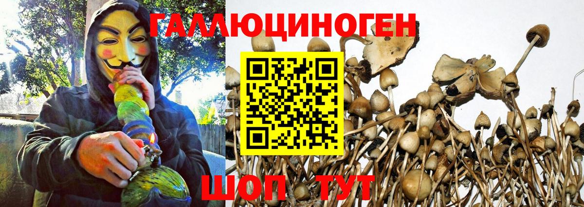 Псилоцибиновые грибы Magic Shrooms  Вход с VPN  Майский 